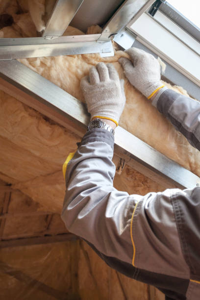Best Residential Insulation in North Seekonk, MA